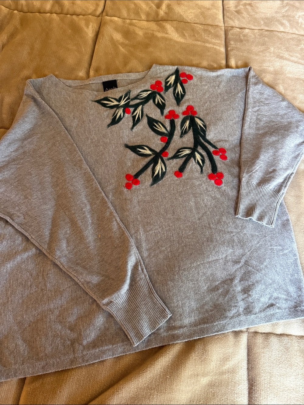 Aaeda Gray Crewneck Sweater with Red Berry Embroidery